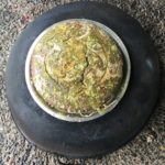 Bizcocho De Harina De Hoja De Coca - Kiaora